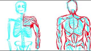 2D animation compilation part 3 & 4 (Video 2)
