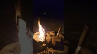 Campfire in the wild #campfire #camping