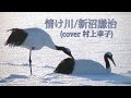 情け川 /新沼謙治(Cover 村上幸子)