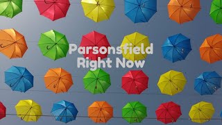🇺🇸 Parsonsfield - Right Now