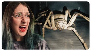 This is my worst nightmare given form |  An ARACHNOPHOBE plays HUNTSMAN: Highlights |