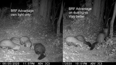 Browning Recon Force Advantage vs Browning Recon Force Edge, observations and comparison