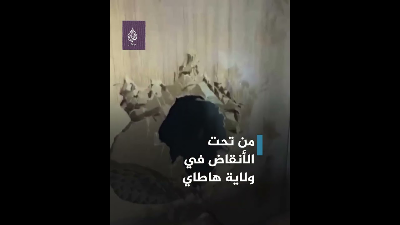 معجزة.. إنقاذ كلبة وصغارها بعد 28 يومًا على زلزال تركيا