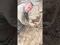 زراعة العنب الأسود الطويل اتحضر للاخضر اكسبلور زراعة العنب الأسود الطويل اتحضر للاخضر اكسبلور