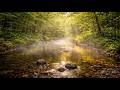 Quiet Stream Ambience & Peaceful Music for Mindfulness, Healing & Serenity 🌊🧘🎵