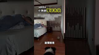 爸爸賴床不遛狗，小傢伙偷偷打電話告狀