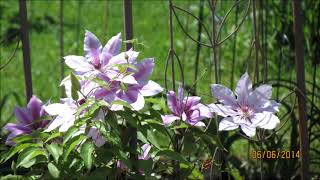 Download Lagu A Time for Love, MATT MONRO - Lyrics MP3