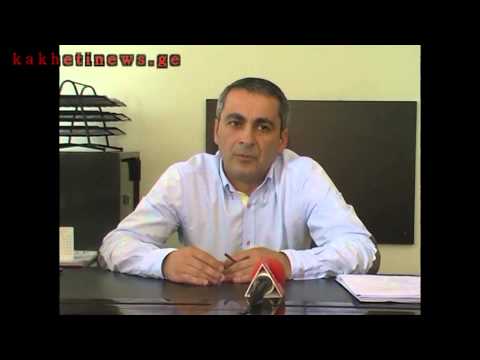 \"გიგოს გორას\" ტყის განახლებაზე ტენდერს მერიის სამსახური გამოაცხადებს