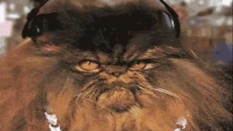 Object one  Ping Pong