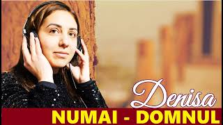 DENISA ROMAN NUMAI DOMNUL (COVER 2024)