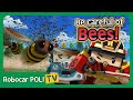 Be careful of Bees! | Robocar Poli Clips