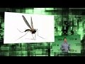 Diagnosing malaria instantly with disease diagnostic group