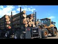 The US Sawmill: How Hardwood Lumber is Made