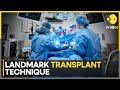 Xenotransplantation: Pig kidney transplanted into human | WION