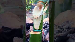 You Wont Believe Whats Inside This Bamboo