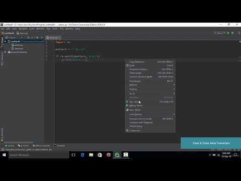 Complete Python Course - Beginner to Advance 088 Caret  dollar metacharacter