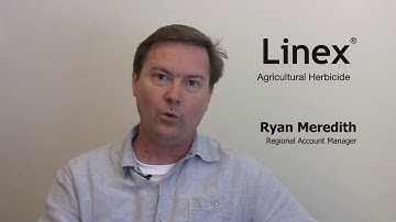 Control Waterhemp in Soybeans with Linex