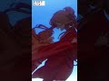 あの子のため、の、夢｜アニメ『春夏秋冬代行者　春の舞』#14｜#春夏秋冬代行者 #アニメ #春アニメ