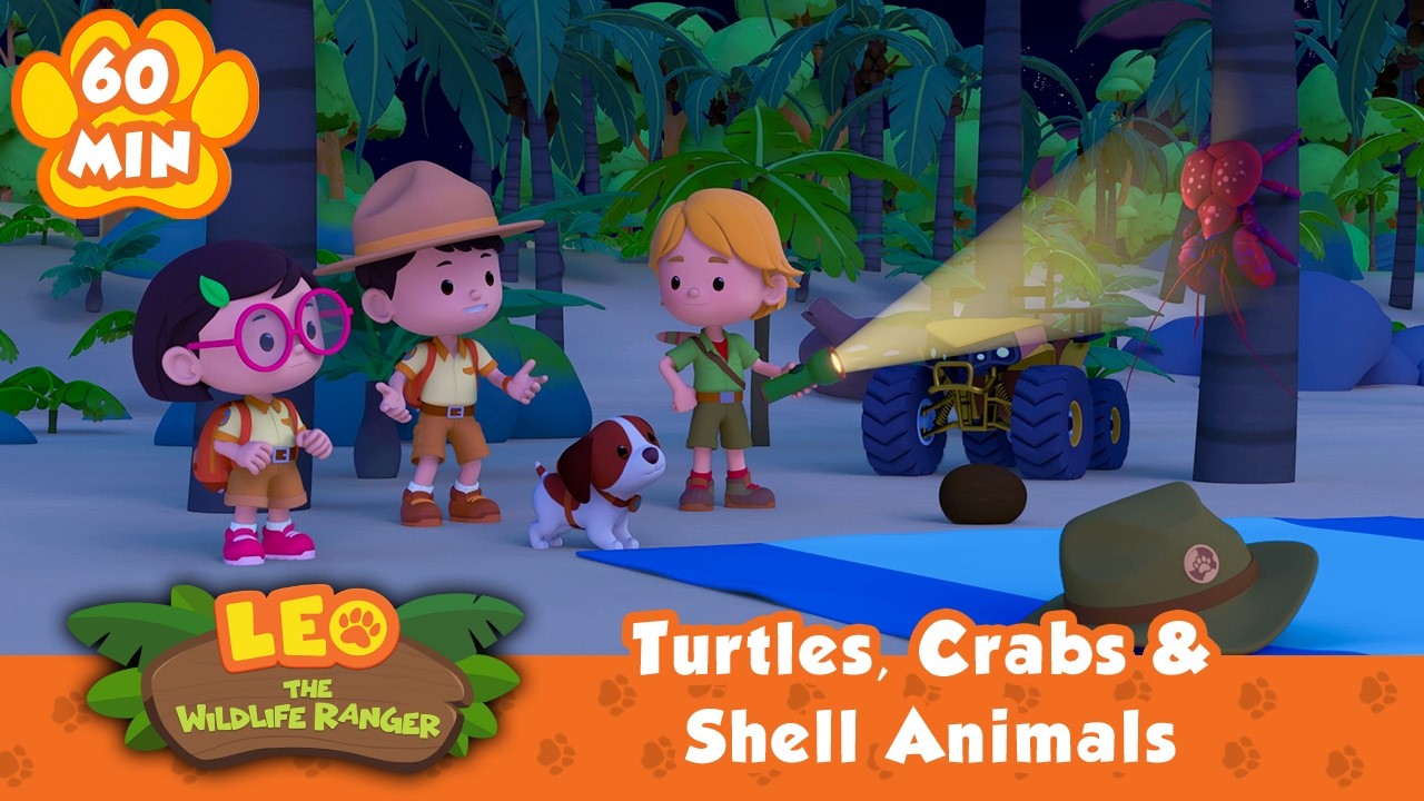 The Craziest Shell Animals You've Ever Seen! 🐢🦀 | Leo the