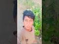 #सो रुपयालिया था 😂😂#comedy #videos #sorts #videos #funny #sanni#dhashu99#