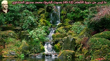 ما تيسر من سورة الأنعام (12-45) - "صدى" - ليبيا بصوت الشيخ/ محمد صديق المنشاوي