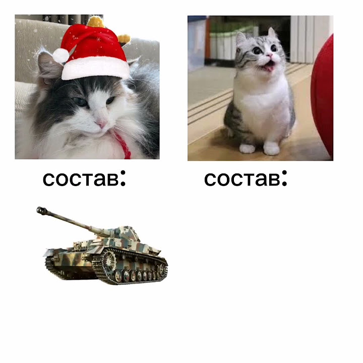 состав комару и комуги 🤯 - YouTube