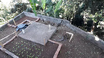 Quais doenças O quati transmite?