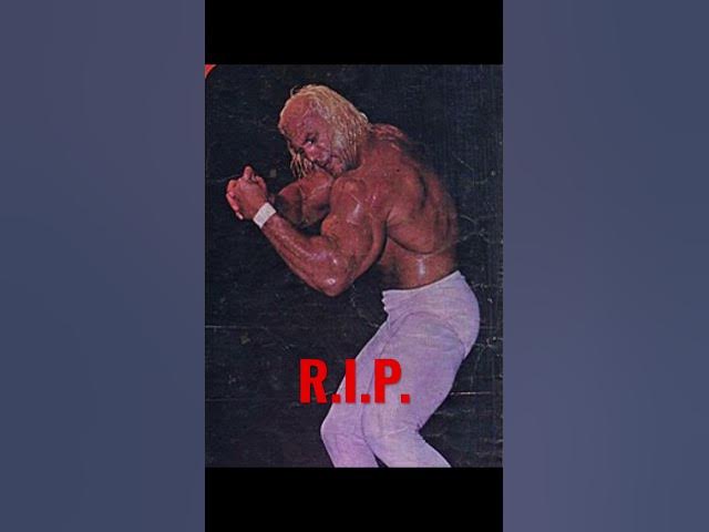 WWE Legend Superstar Billy Graham Dead At 79. #shorts #superstarbillygraham #WWE