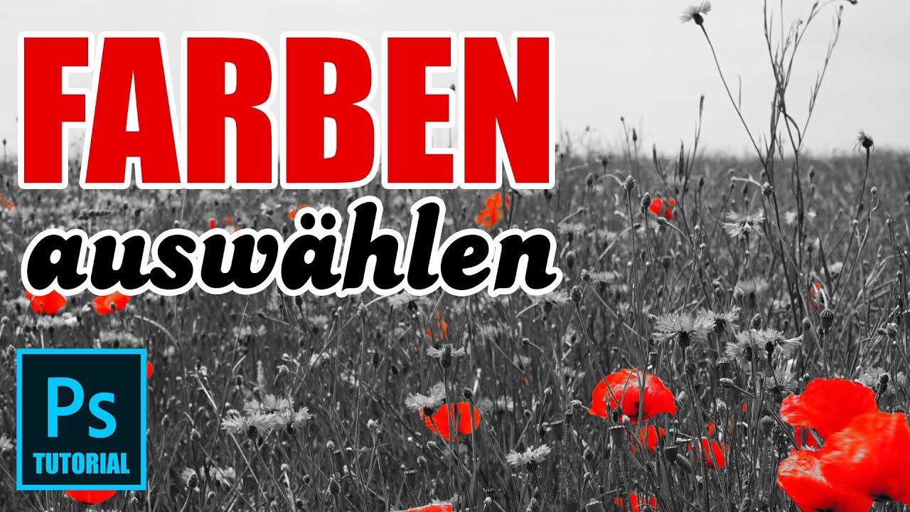 Tutorial für Anfänger Schwarz weiss Farbe hervorheben per Farbauswahl [COLOR KEY