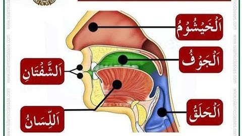 من أحكام التجويد (حكم النون والميم المشددتين) تربية دينية.