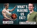Whats really making us fat carbs sugar joe rogan response ft stephan guyenet