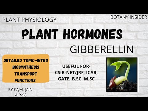 Plant Hormone - Gibberellin | Intro | Biosynthesis |Transport |Signalling | CSIR-NET JRF| GATE ||