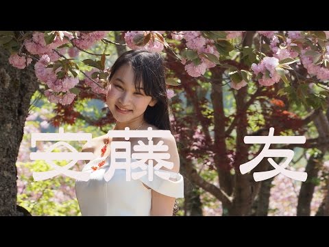 安藤友 八重桜まつり撮影会2017