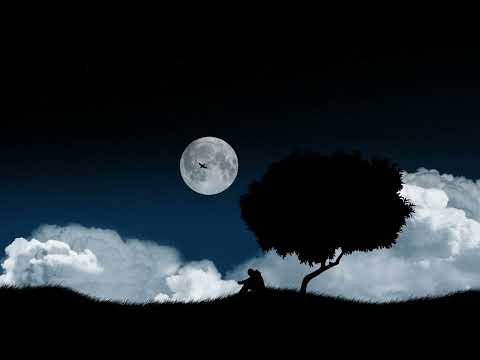 WYD Now x Tujhe Kitna Chahne Lage (DJMattz Mashup) | Tiktok Viral | Sadie Jean vs Arijit Singh