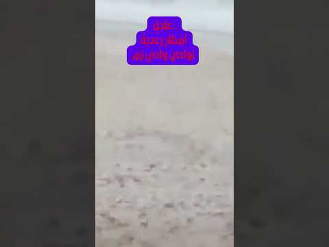 عاجل أمطار رعدية نواحي وادي زم