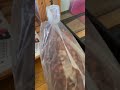生き物飼育者の家に出たゴキブリはこうなります #shorts