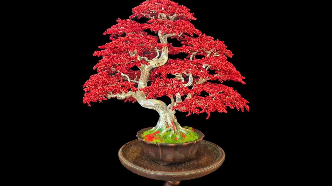 Bonsai de alambre arce rojo japonés 3A. Parte 5. Últimos toques y finalización.
