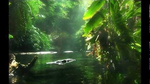 one of the seven environmental principle.wmv