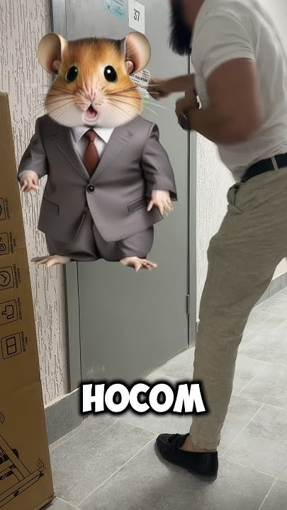 ЛИСТИНГ ХОМЯКА!!!#хамстеркомбо #hamsterkombat - YouTube