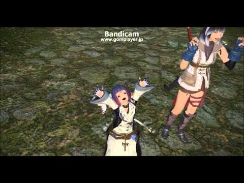 ふぁいなるふぁんたじー14エモバグ