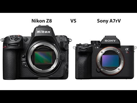 First comparison: New Nikon Z8 vs Sony A7rV