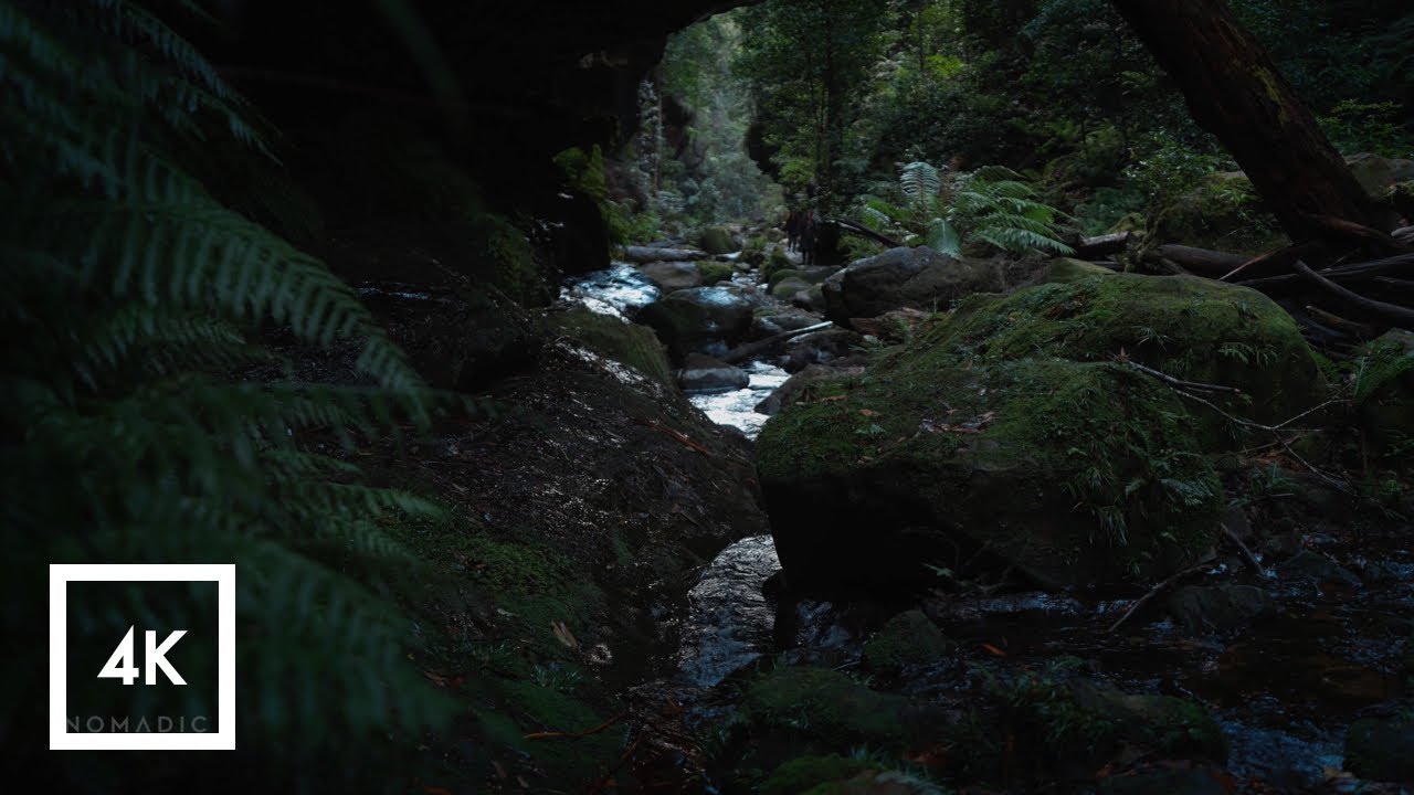 ⁣Escaping to Nature, Relaxing Sounds of the Blue Mountains for Sleep, AMSR