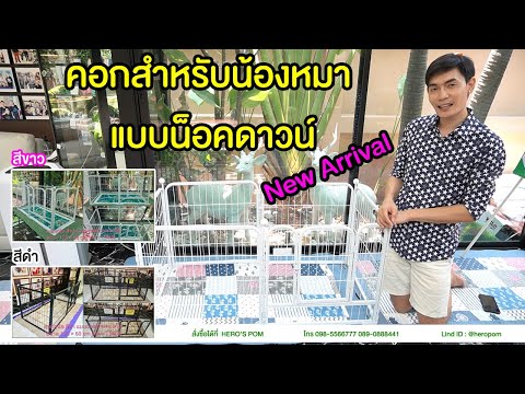สินค้าใหม่ คอกสำหรับน้องหมา แบบน็อคดาวน์