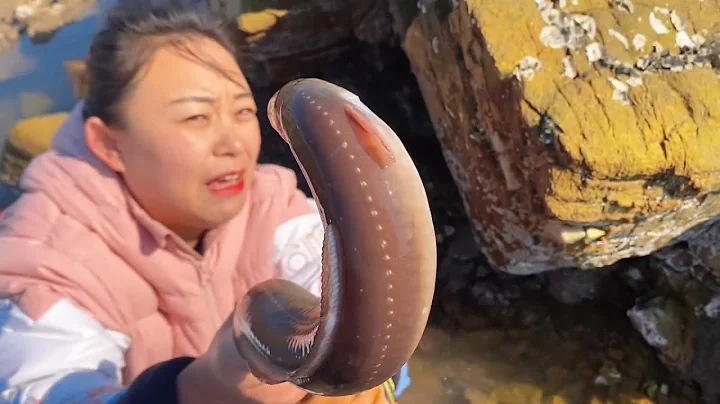 The stout moray wanted to turn its head and bite, ...