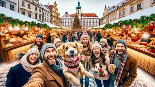 CESKE BUDEJOVICE 🎄THE MOST BEAUTIFUL CHRISTMAS CITY IN THE CZECH REPUBLIC 4K | Travel Guide