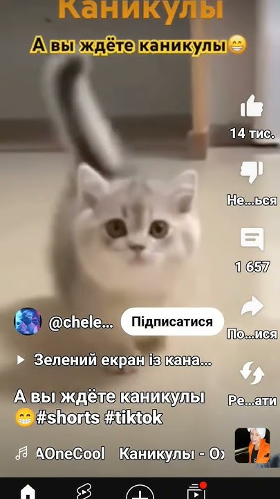 2 подряд - YouTube