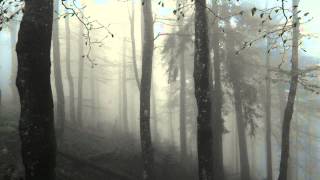 Voin Grim - Ashes amidst the Dying Twigs
