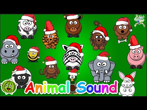 Animal Sound Song And More Chirstmas Song! || Kids Songs And Nursery Rhymes || Edufam ~