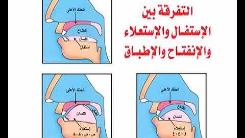 تبسيط أحكام التجويد 13