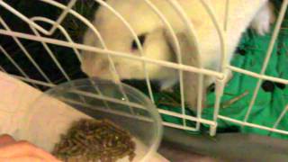 SANY0222.MP4